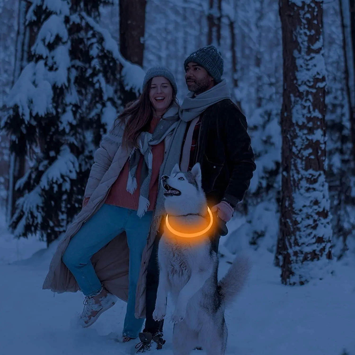 💡 Adjustable LED Glow Dog Collar – 360° Night Safety 🐕🌙