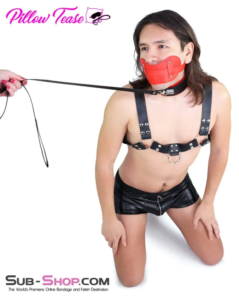 0975DL      Red Fur Lined Bondage Slave Collar and Leash Set