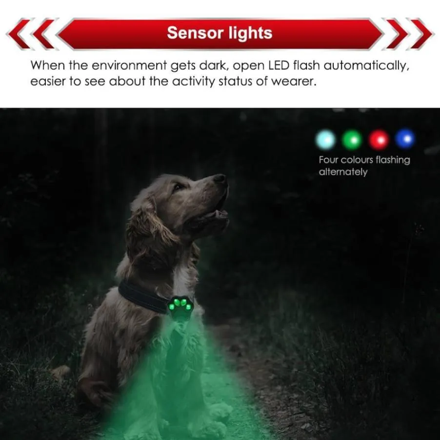 3G GPS Tracker for Dogs: Keep Your Pet Safe Anywhere!