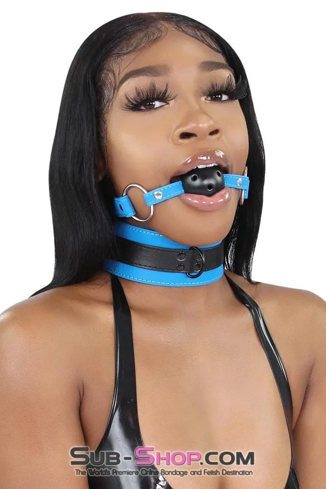 7099MQ      Tantric Blue Collar with Black Hardware and Matching Leash - LAST CHANCE - Final Closeout!