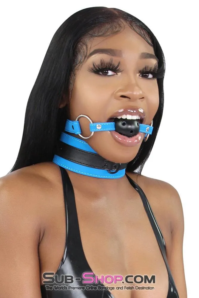 7099MQ      Tantric Blue Collar with Black Hardware and Matching Leash - LAST CHANCE - Final Closeout!