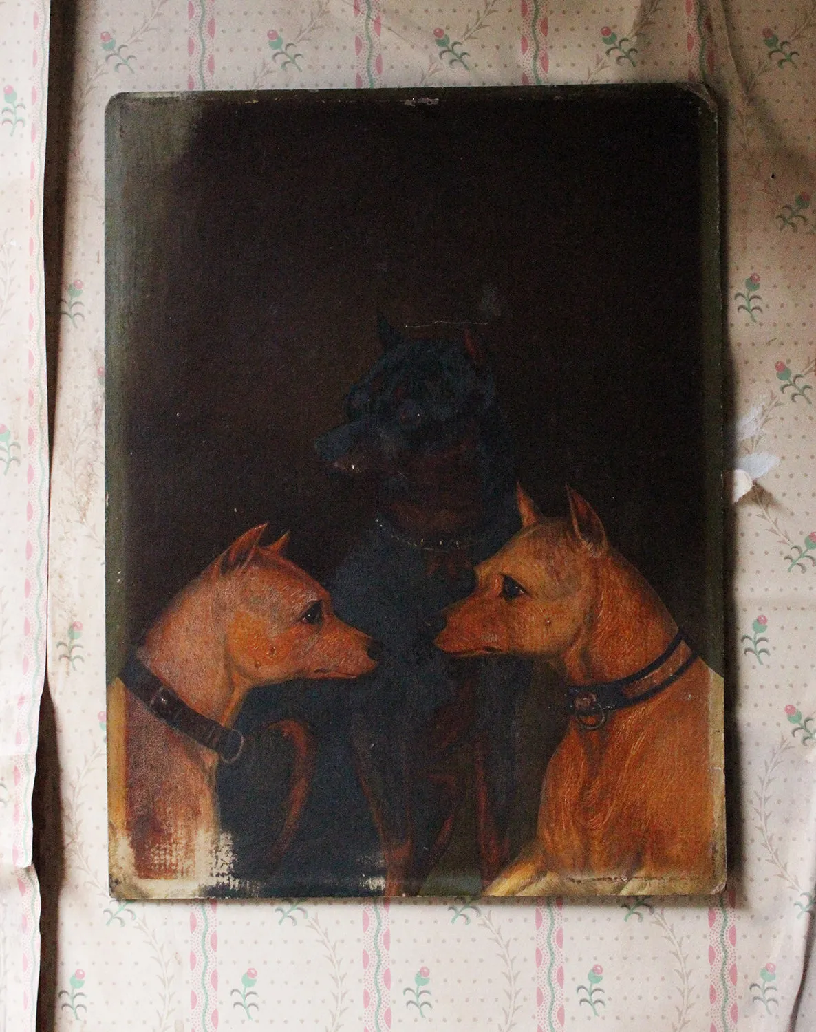 A 19thC English School Oil on Board Study of Two White Terriers & One Manchester Terrier