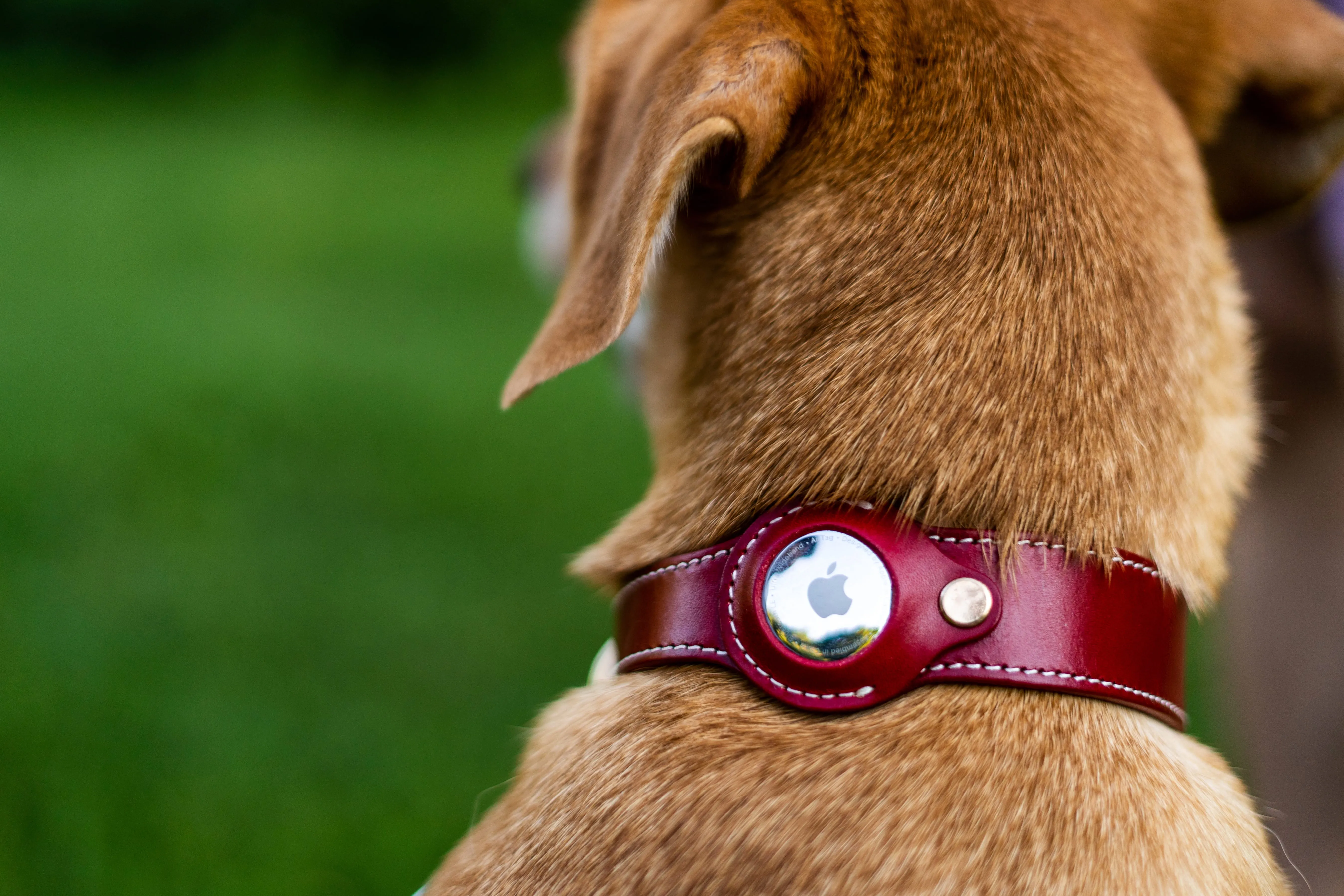 AirTag Leather Collar - Style A