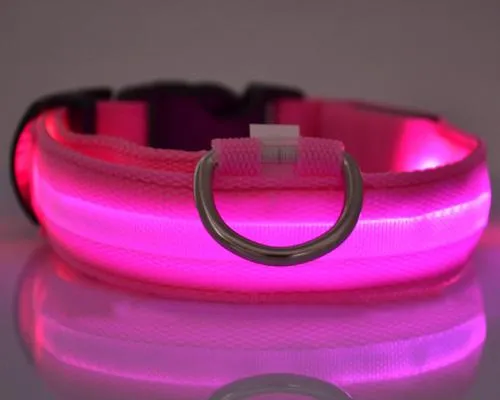 Bright Series Pet Dog Collar with LED Light