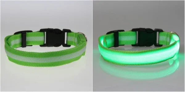 Cat Flashing Light Safety Collars