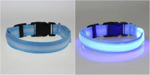 Cat Flashing Light Safety Collars