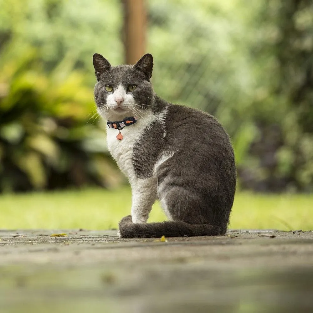 DOCO® Reflective Cat Collar - Printed Pattern