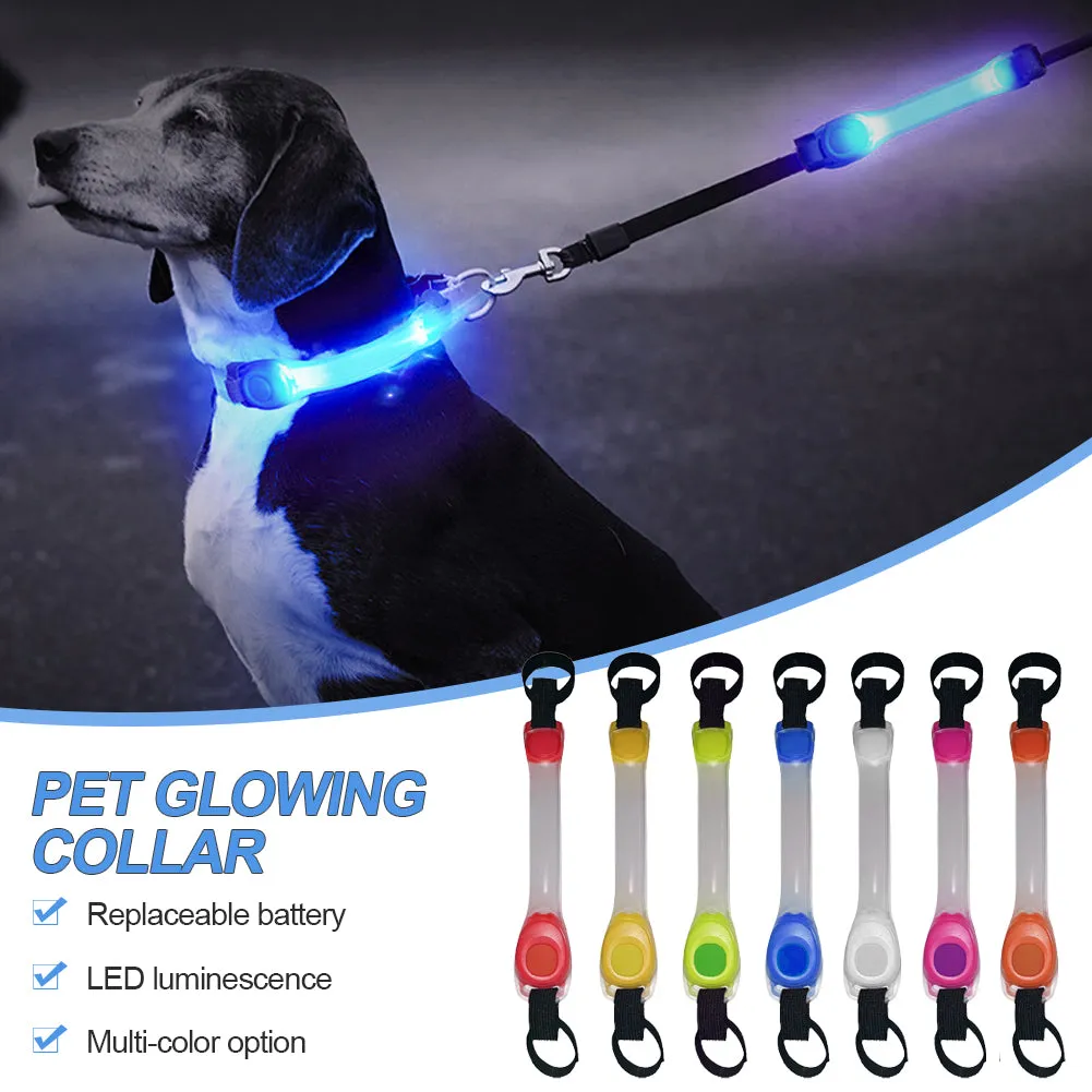 Dog Anti-lost Warning led collar