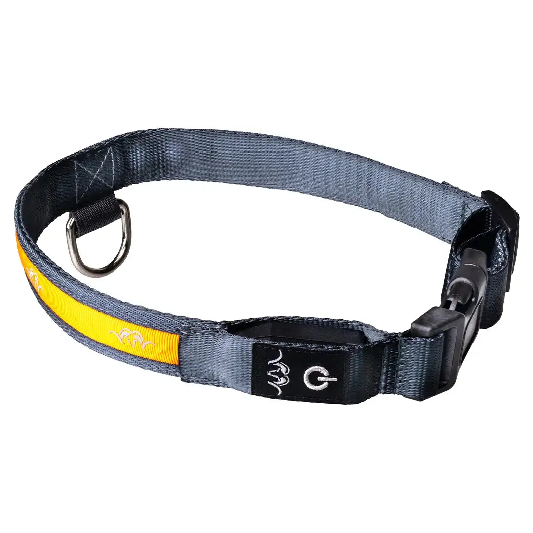 Dog LED Collar by Blaser