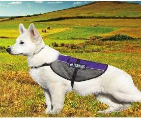 Dogline MaxAire Mesh Service Dog Vest