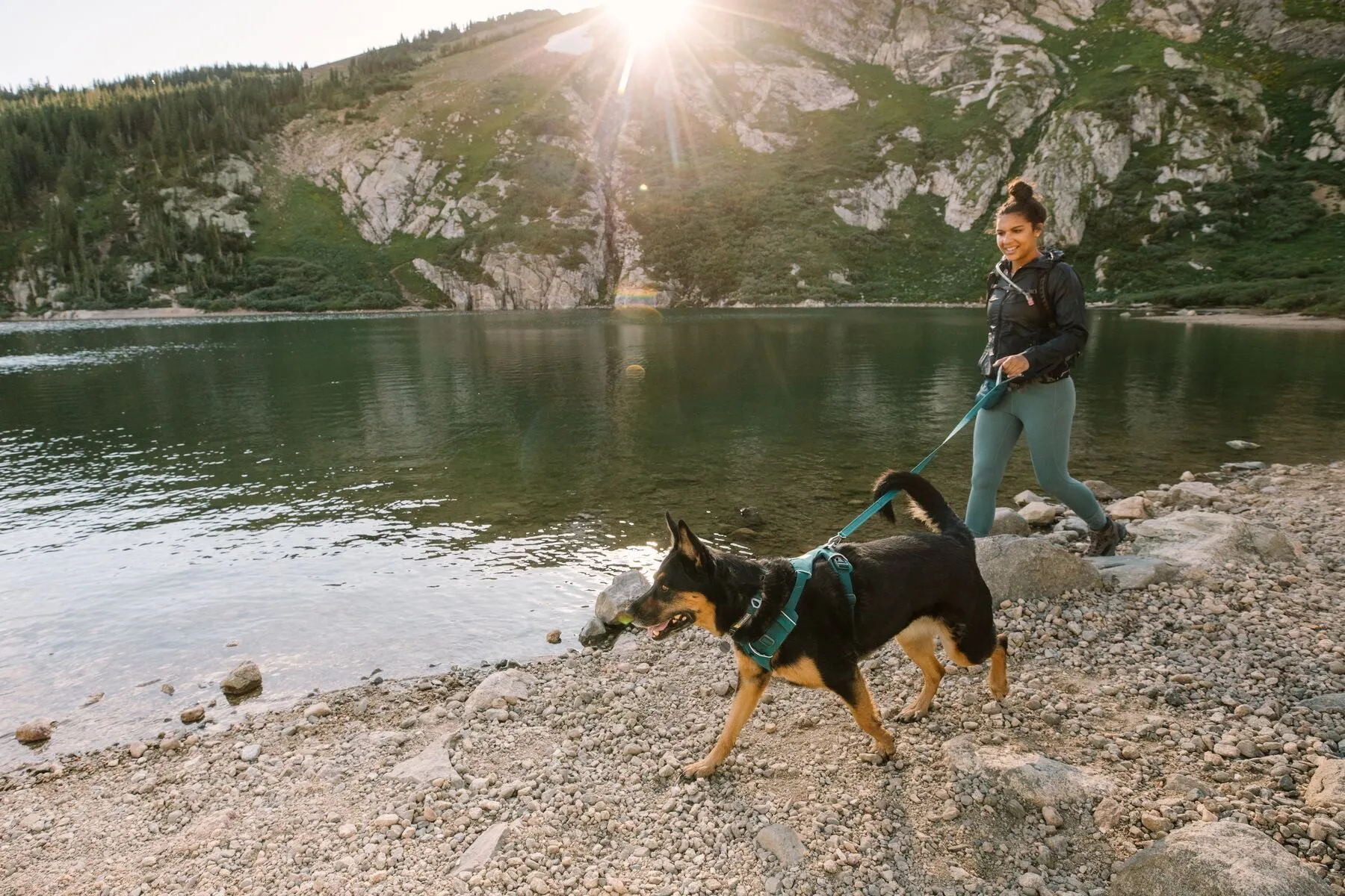 Front Range® Dog Harness