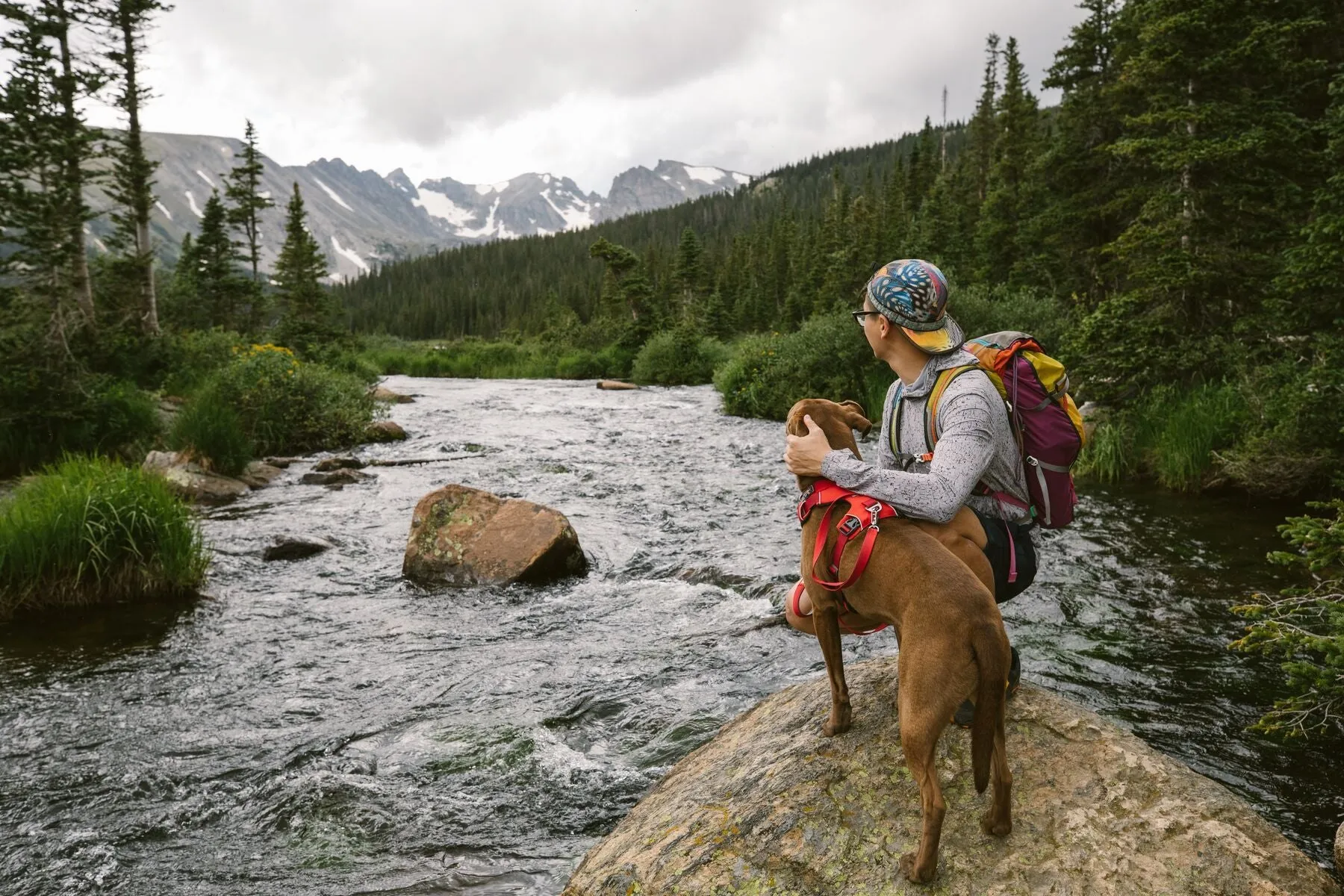 Front Range® Dog Harness