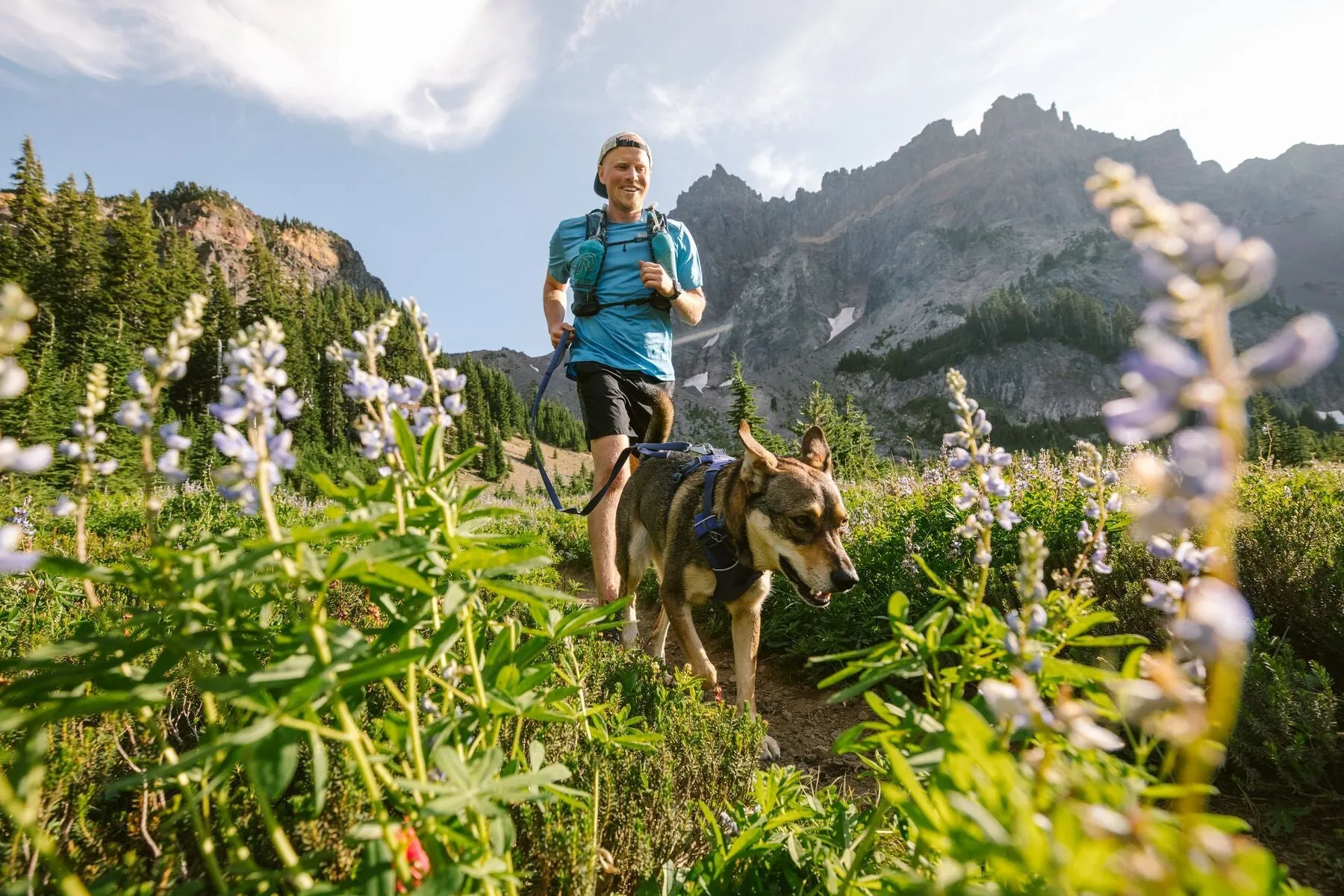 Front Range® Dog Harness