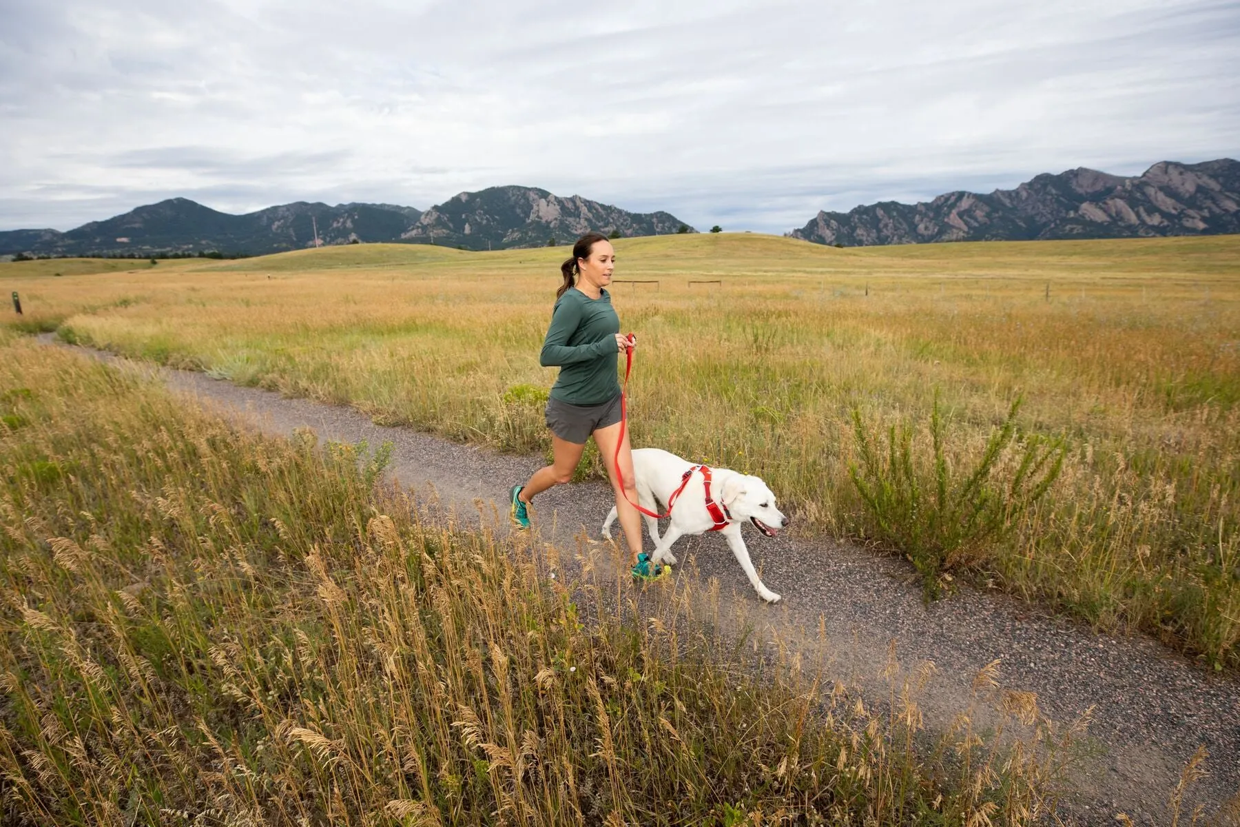 Front Range® Dog Harness