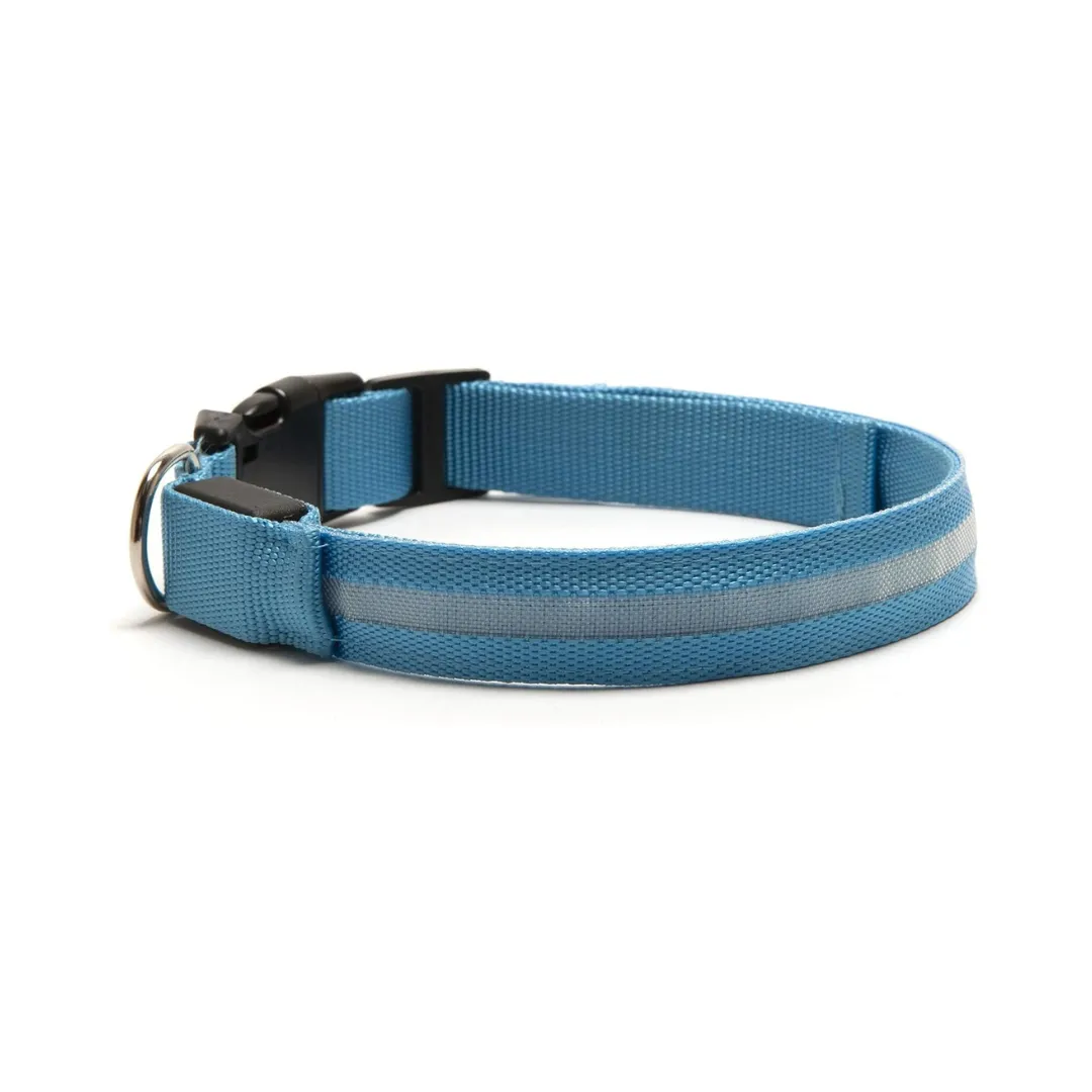 Furhaven LED Safety Light-Up Blue Dog Collar