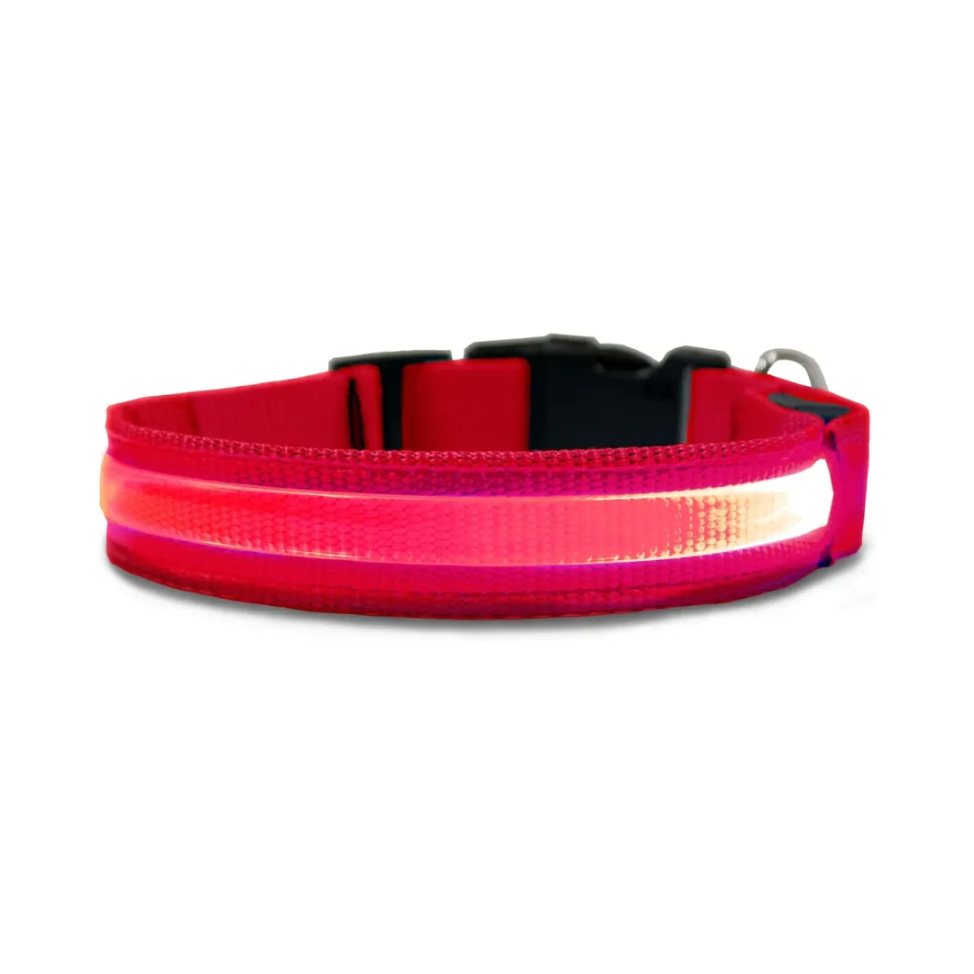 Furhaven LED Safety Light-Up Red Dog Collar