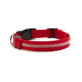 Furhaven LED Safety Light-Up Red Dog Collar