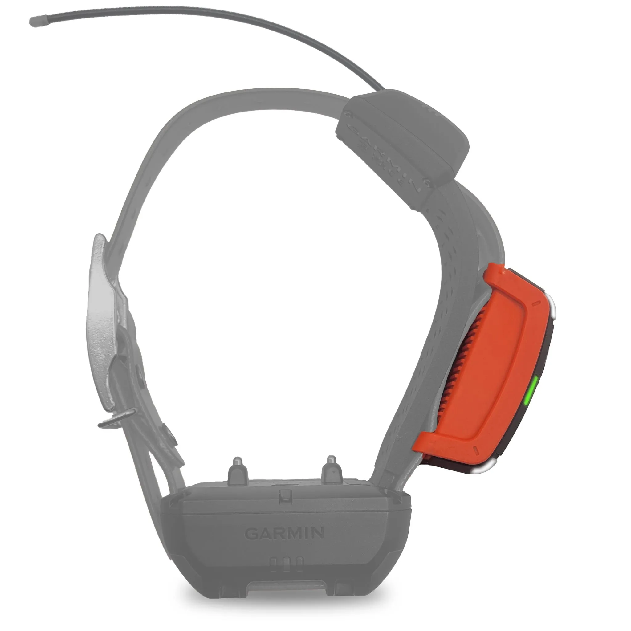 Garmin Alpha LTE Dog Tracking Collar