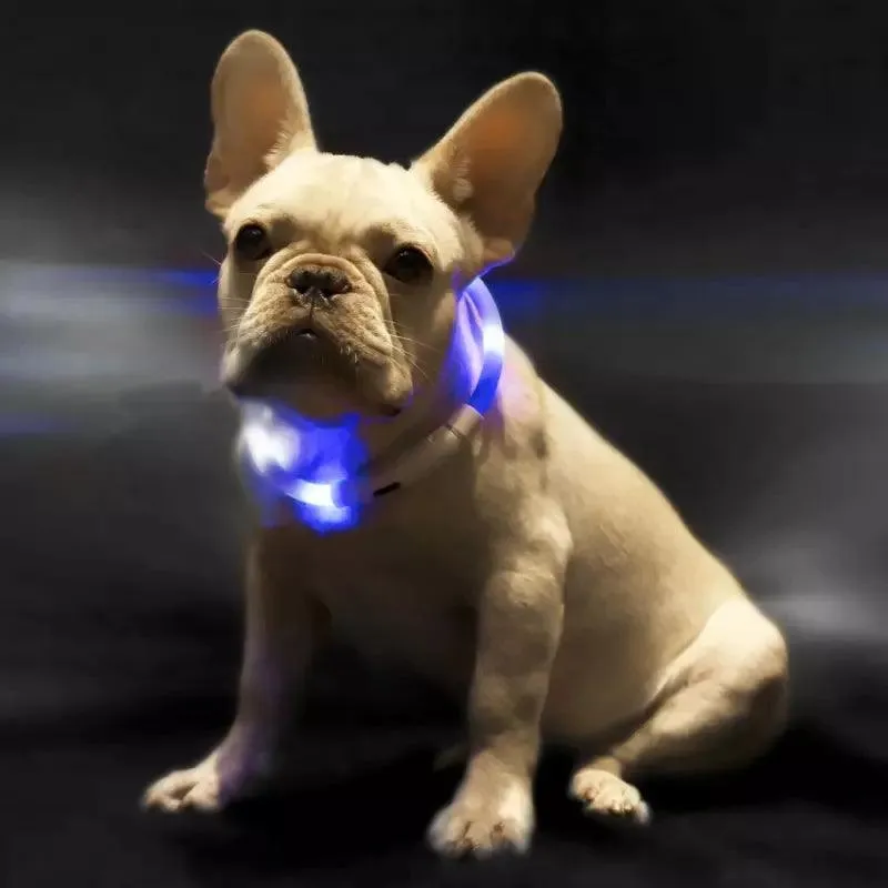 Glowguard Pet Safety Light Collar