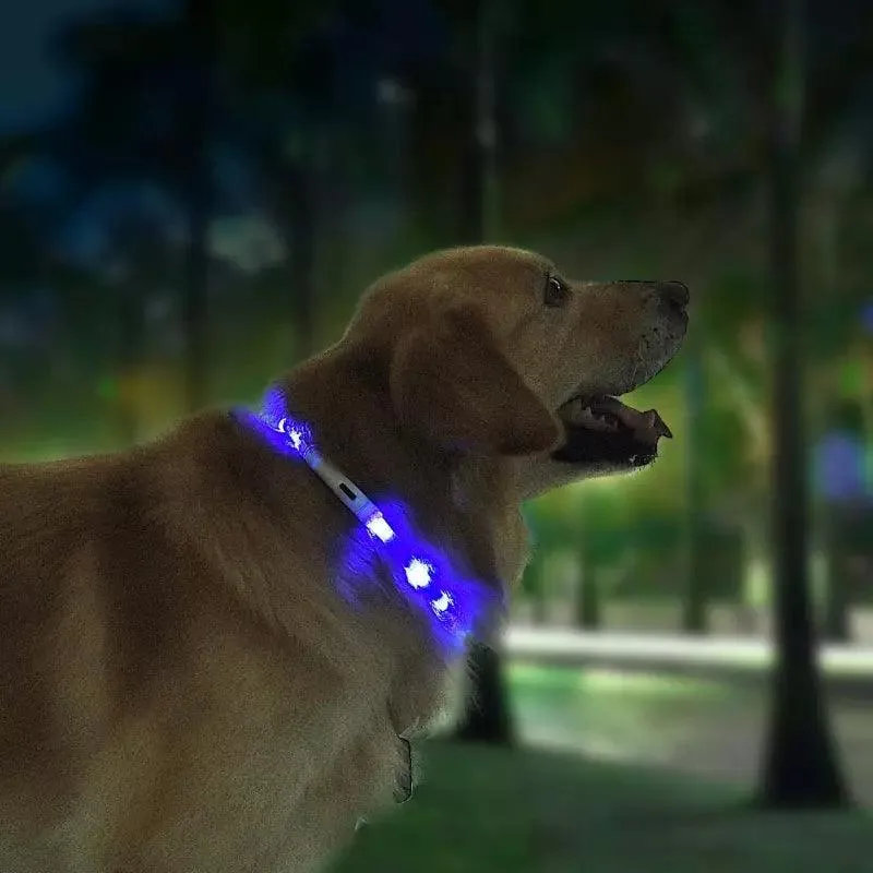 Glowguard Pet Safety Light Collar