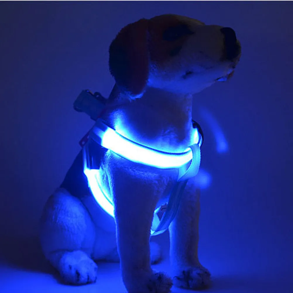 Hot New 2017  LED Flashing Light Dog Harness