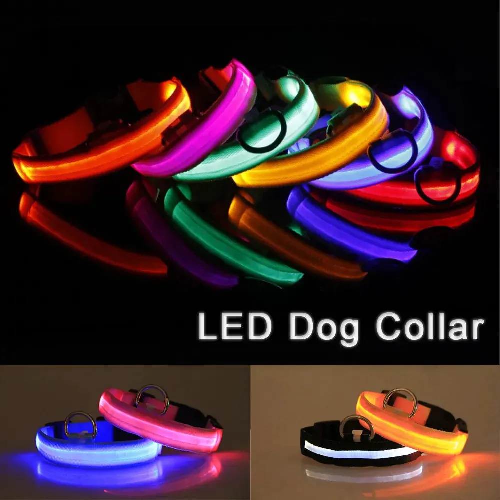 LED Adjustable Dog Collar Blinking Flashing Light