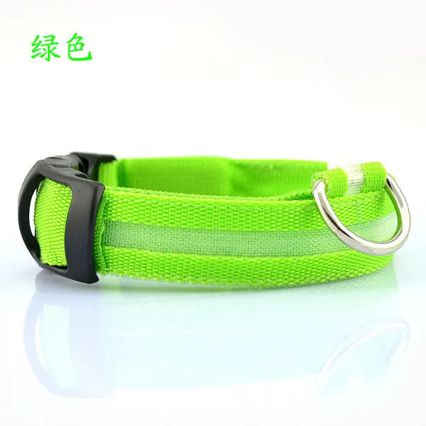 LED Light Night-Safety Dog Collar - Flash Glow in Dark Pet Collar