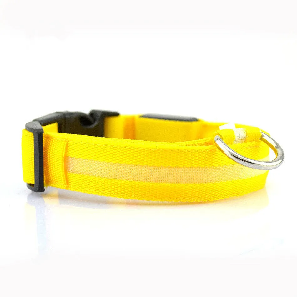 LED Night Safety Dog Collar