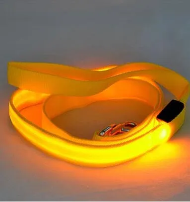 LED Safety Night Leash