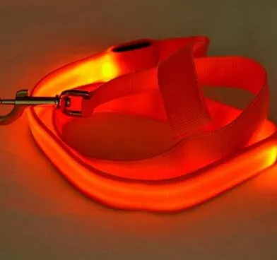 LED Safety Night Leash