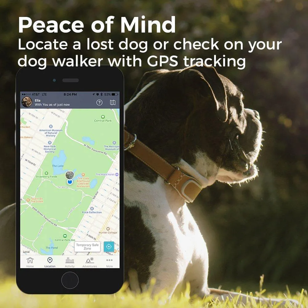 Link AKC Smart Dog Collar - GPS Location Tracker, Activity Monitor, and More, Leather Small   1 Year Service Plan (KITTN01)