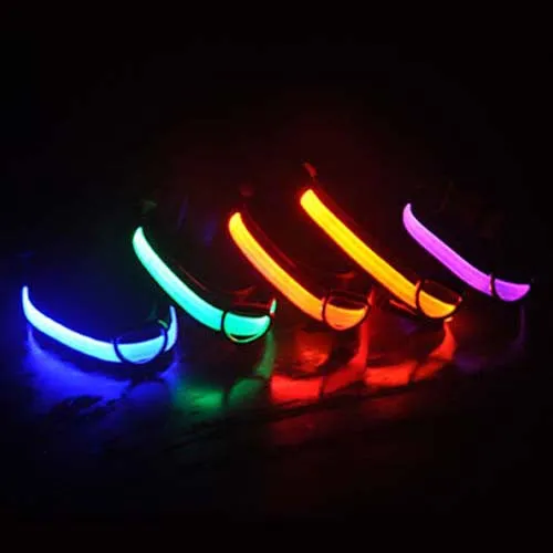 Lumi Illuminated Pet Collars