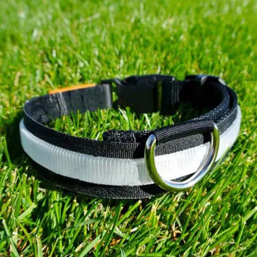 Lumi Illuminated Pet Collars