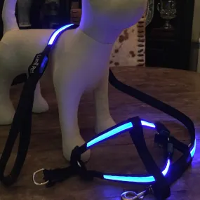 Lumi LED Illuminated Dog Harness