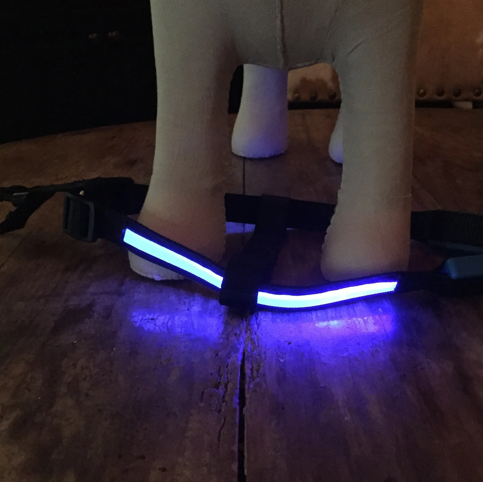 Lumi LED Illuminated Dog Harness