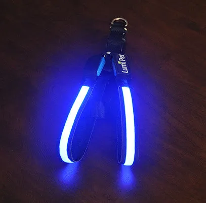 Lumi LED Illuminated Dog Harness