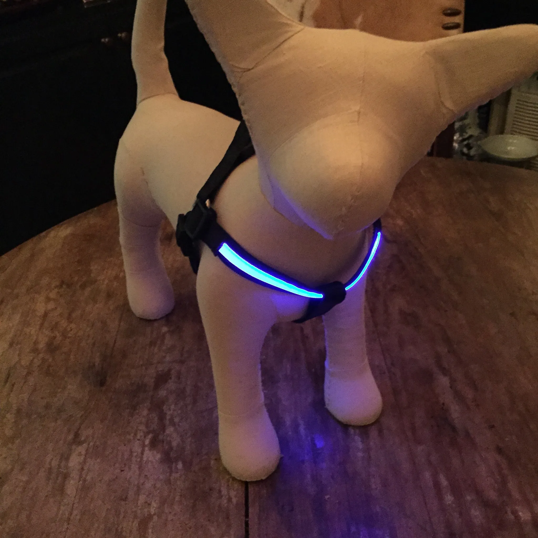 Lumi LED Illuminated Dog Harness