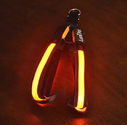 Lumi LED Illuminated Dog Harness