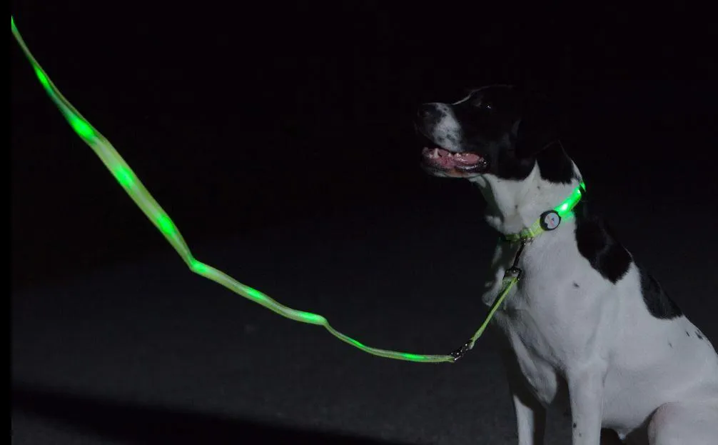 Nite Beams LED Lighted Dog Leash