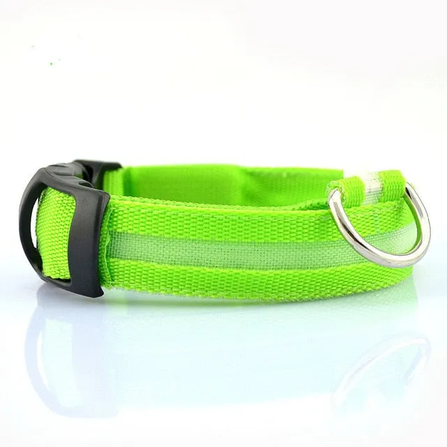 Nylon LED Dog Collar - 5 Pieces Set