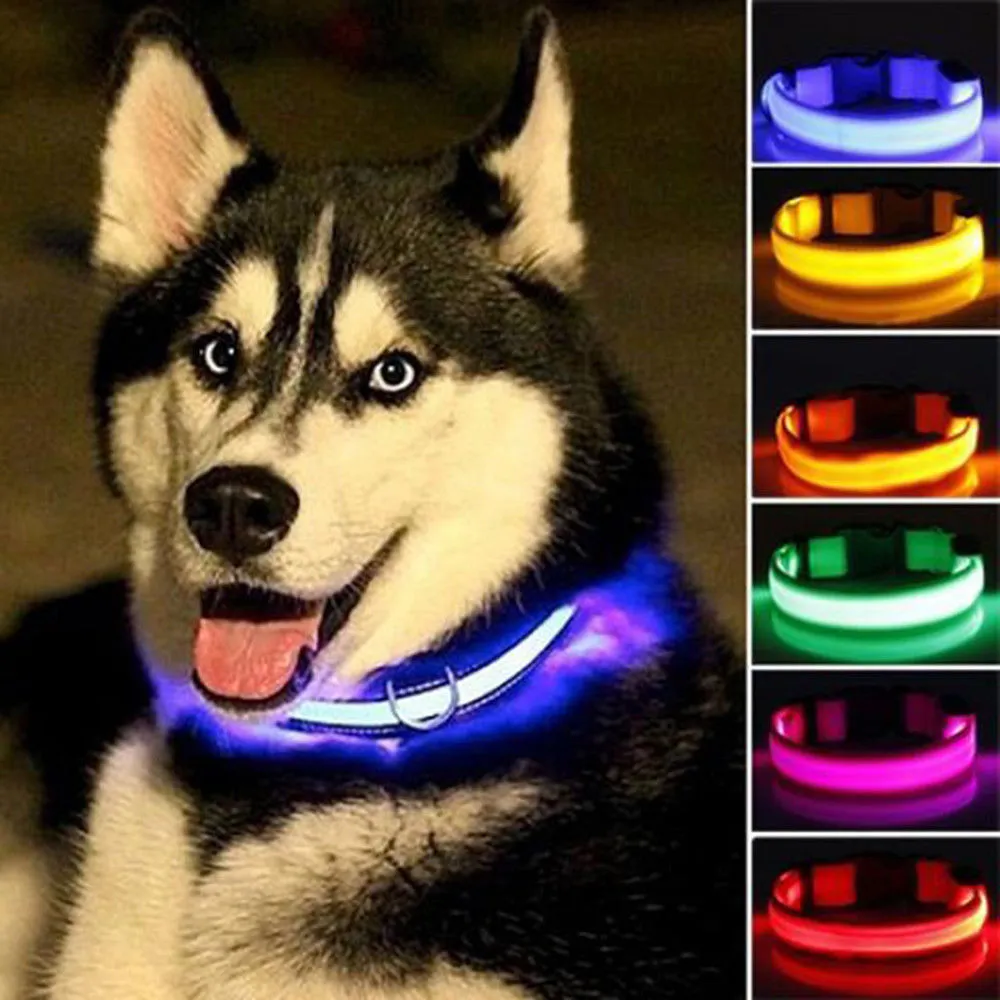 Nylon LED Dog Collar - 5 Pieces Set