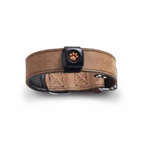 Pitpat Dog Activity Monitor