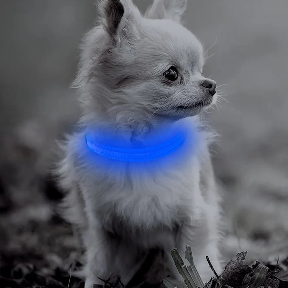 "GlowPup™: Illuminate & Protect - Rechargeable LED Light Collar for Small Pets (XS, Royal Blue)"