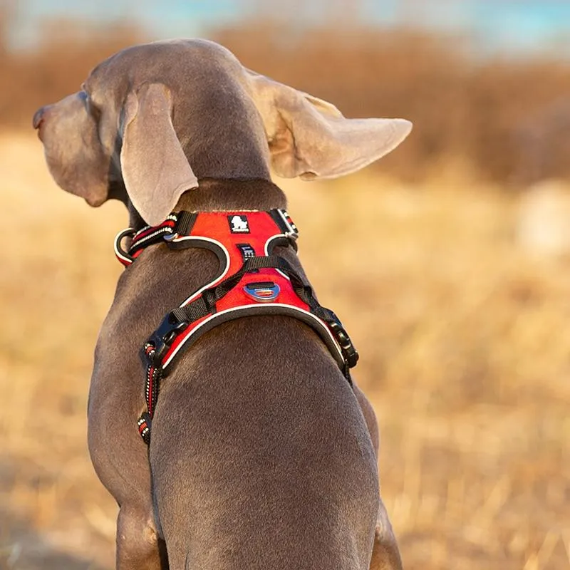 Reflective Heavy Duty Dog Leash Harness