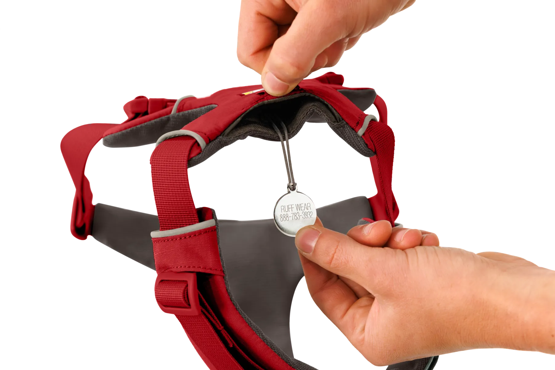 RP - Front Range® Dog Harness