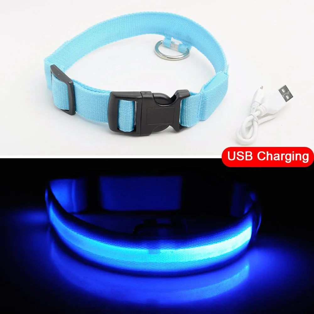 USB Charging Led Dog Collar Anti-Lost/Avoid Car Accident Collar For Dogs Puppies Dog Collars Leads LED Supplies Pet Products