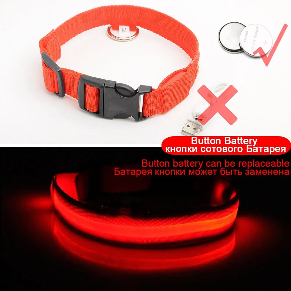 USB Charging Led Dog Collar Anti-Lost/Avoid Car Accident Collar For Dogs Puppies Dog Collars Leads LED Supplies Pet Products