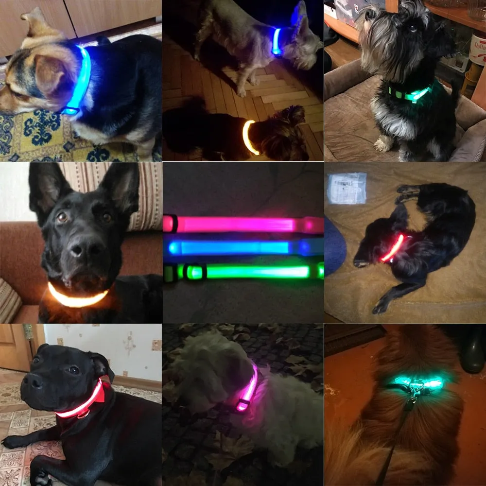 USB Charging Led Dog Collar Anti-Lost/Avoid Car Accident Collar For Dogs Puppies Dog Collars Leads LED Supplies Pet Products