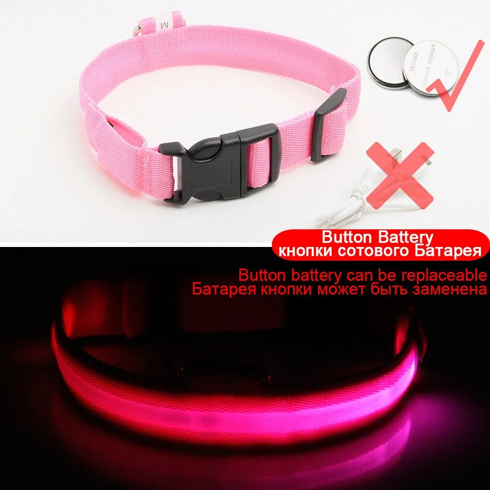 USB Charging Led Dog Collar Anti-Lost/Avoid Car Accident Collar For Dogs Puppies Dog Collars Leads LED Supplies Pet Products