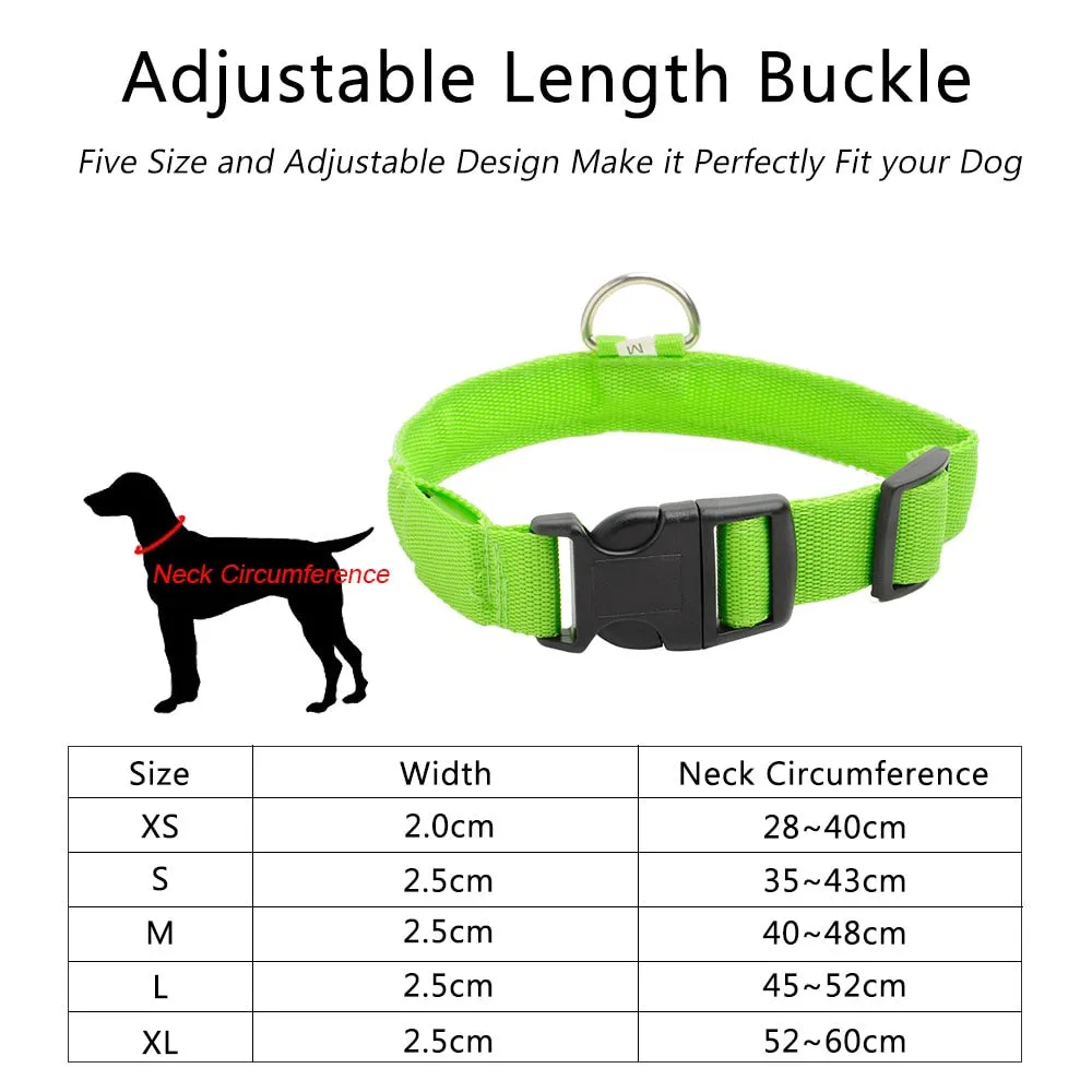 USB Charging Led Dog Collar Anti-Lost/Avoid Car Accident Collar For Dogs Puppies Dog Collars Leads LED Supplies Pet Products